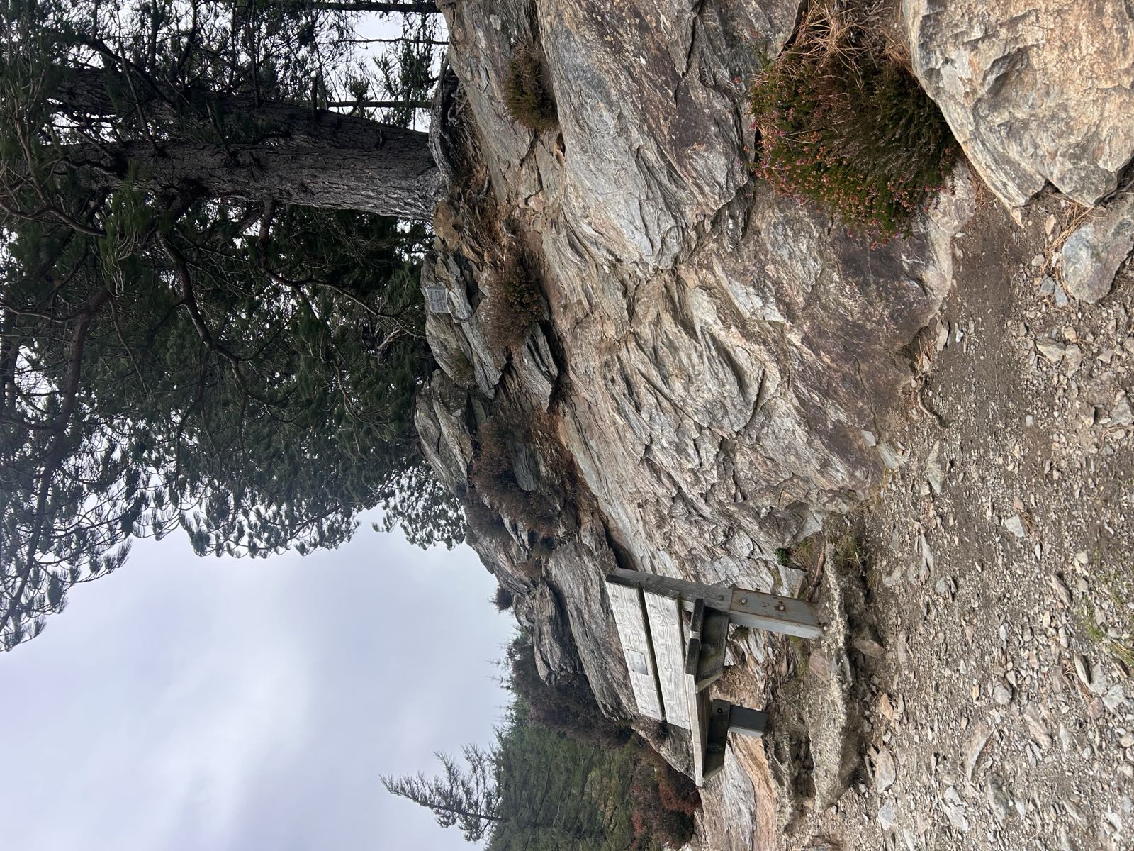 A wooden bench set into rock on the climb